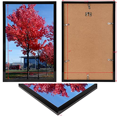 Medog 11x17 Picture Frame for Wall Black, Display pictures 11x17 Poster Frame, Wall Sign Poster Menu Photo Frames, 1 Pack - Image 3