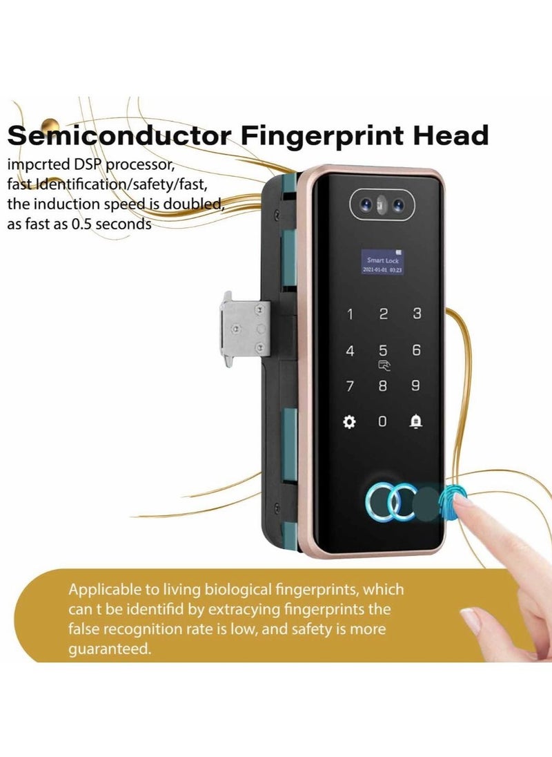 Elite - ELITE GL- PLUS Fingerprint Glass Door Lock 6 Ways to Unlock Intelligent Audio Navigation Remote Control Anti-peep Anti-decode Touchscreen, 3 D Face Recognition, Charging port, Lithium Battery - Image 1