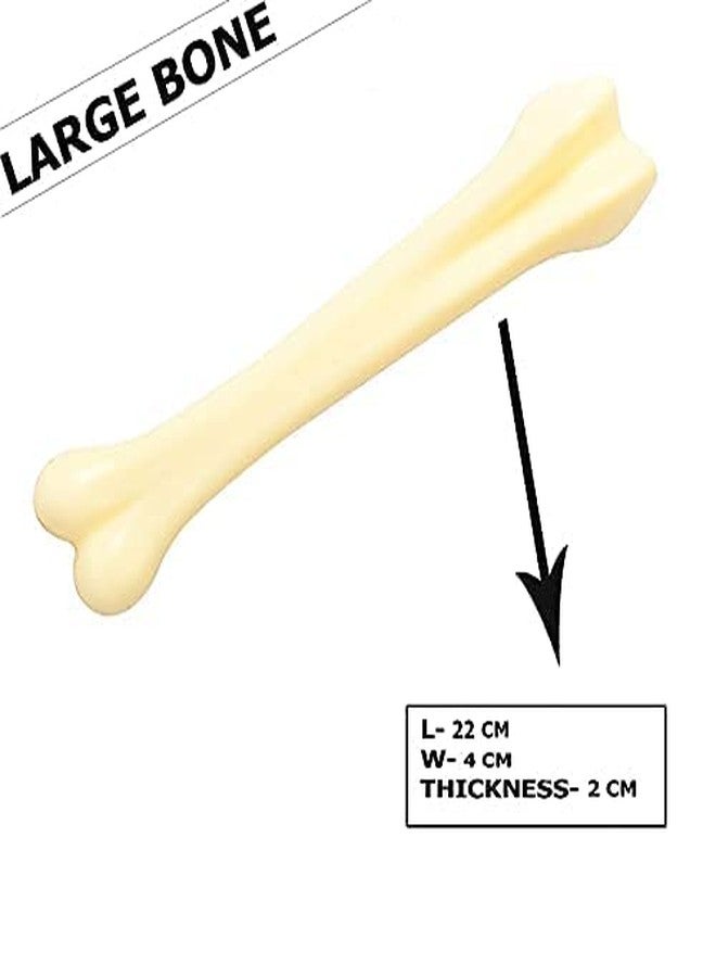 D&C PAWS Durable Nylon Hard Chew Bone Ideal for Playing and Chewing Aggressive Chewers/Teething Toys for Large Breed Dogs and Puppies (Pack of 1) - Image 3