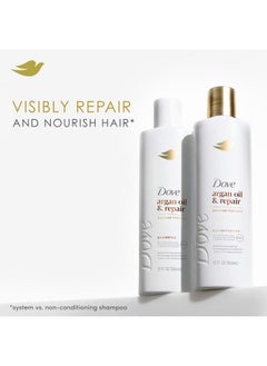 Dove Dove Conditioner Argan Oil & Repair for Fine Hair with Bio-Protein Care Technology and Argan Oil Blend 12 Fl Oz  - Image 2