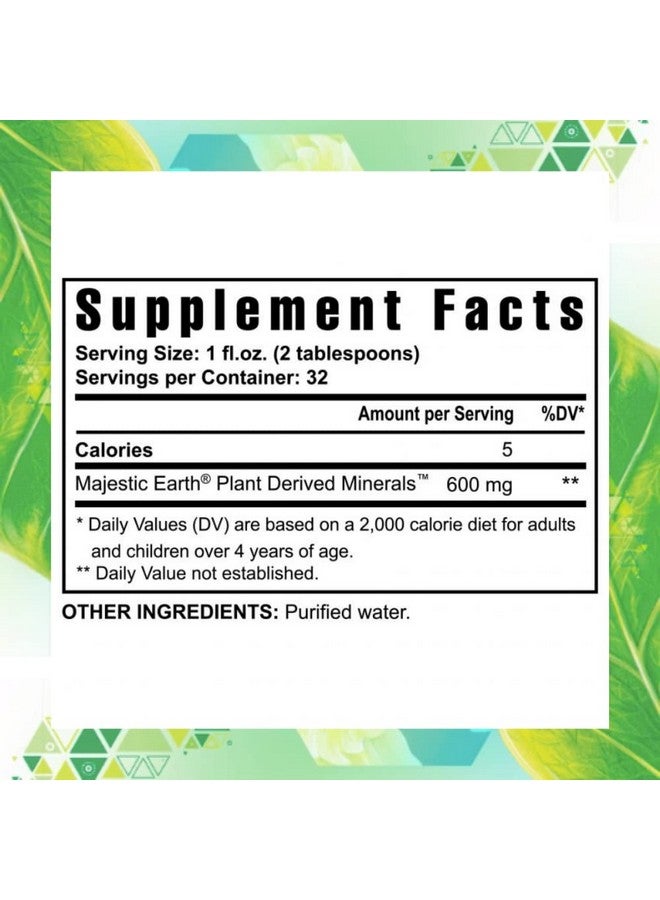 youngevity معادن سائلة مشتقة من النباتات من يانغيفيتي - 77+ معادن طبيعية غير معدلة - 19,000 ملغ من المواد المعدنية النباتية - شكل كولوييدال من صخر الهماتيت - (32 أونصة عبوة من 2) - Image 2