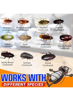 JUE-FISH 2 Pcs Roach Trap Agent for Cockroach Gel Bait Cockroach Pest Control Insecticide,​ Indoor Kitchen Household Cockroach Extermination Gel  - Image 4