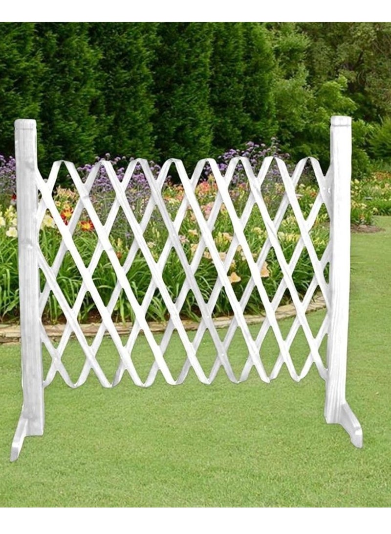 Generic FFD Wooden Garden Fence Collection From Privacy Screens to Pet Safety Gates, Expandable Trellis to Freestanding Elegance  - Image 5