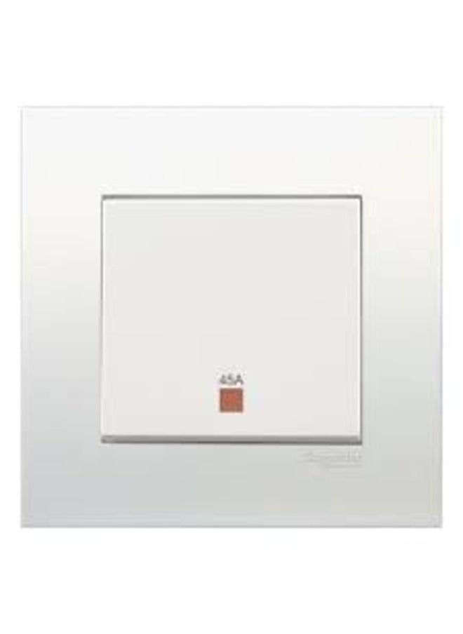 Schneider Electric Schneider electric 45A 250V Double Pole Switch with Neon 