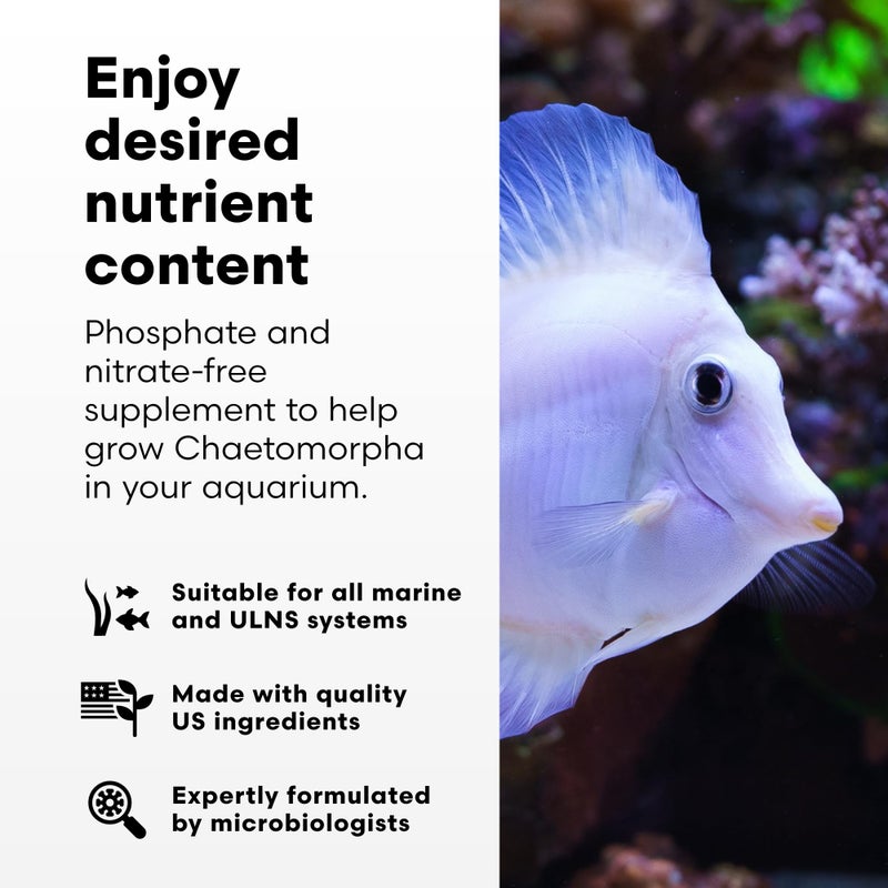 Brightwell Aquatics - ChaetoGro - Algae Nutrient Supplement for Chaetomorpha Growth in All Marine Fish Tanks - Multi-Nutrient Aquarium Water Treatments, 16.9 fl oz - Image 3