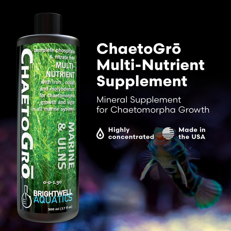 Brightwell Aquatics - ChaetoGro - Algae Nutrient Supplement for Chaetomorpha Growth in All Marine Fish Tanks - Multi-Nutrient Aquarium Water Treatments, 16.9 fl oz - Image 2