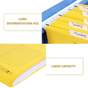 SOYIRI Hanging File Folder, A4 Suspension Files Holder, Hang Folder, Filing Cabinet Suspension File with Tab and Label for School Home Office, Yellow, 25 Pack - Image 4