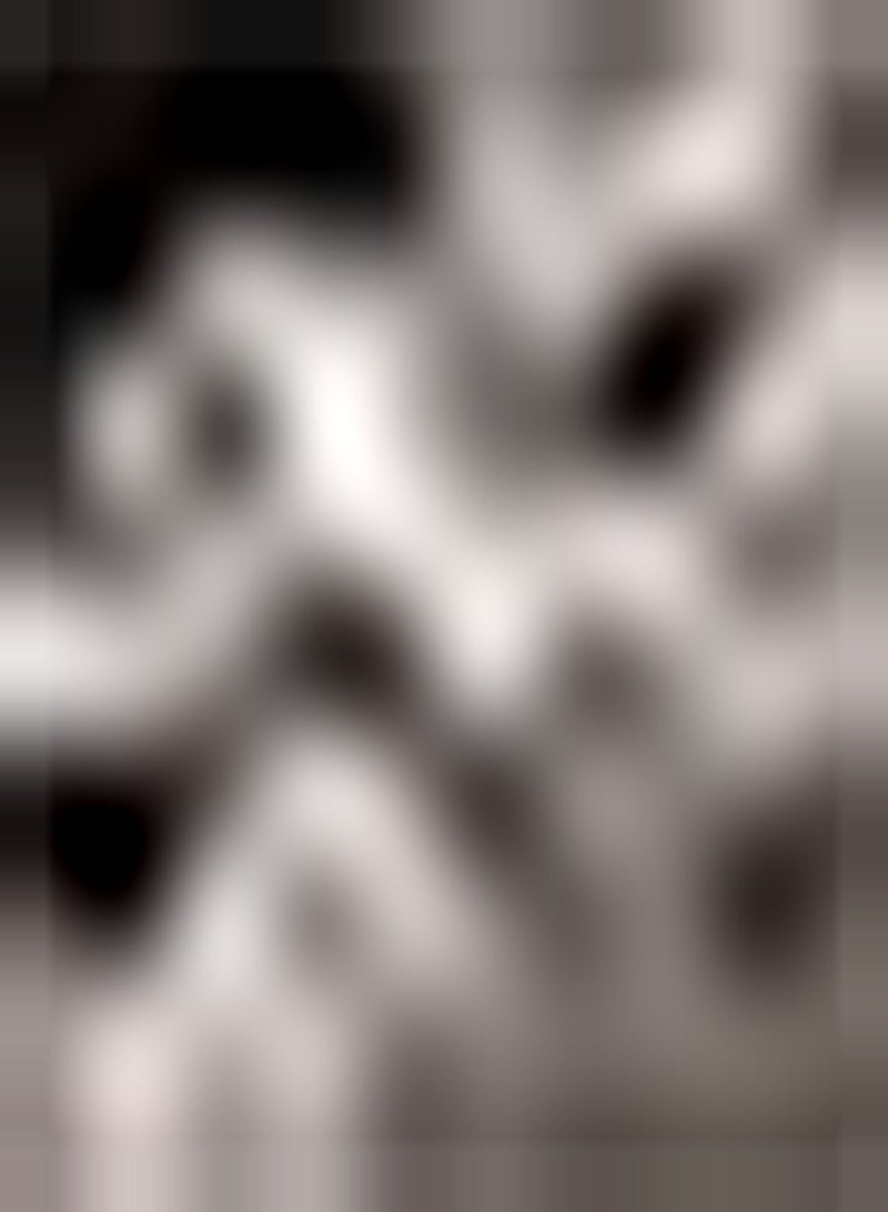 GGOOT 100pcs Rare Gypsophila seeds Lovely Variety Planted in Garden Courtyard Patio Indoor Layout Cut Flowers Bouquet Vase Low Cost - Image 2