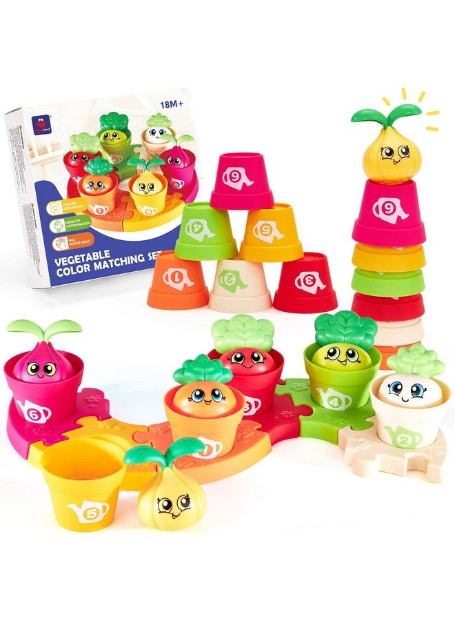 hahaland Montessori Toys for 1 Year Old Gifts - Puzzle & Garden Set - Color Sorting Stacking Daycare Learning Toys for Toddlers 1-3 - Image 1