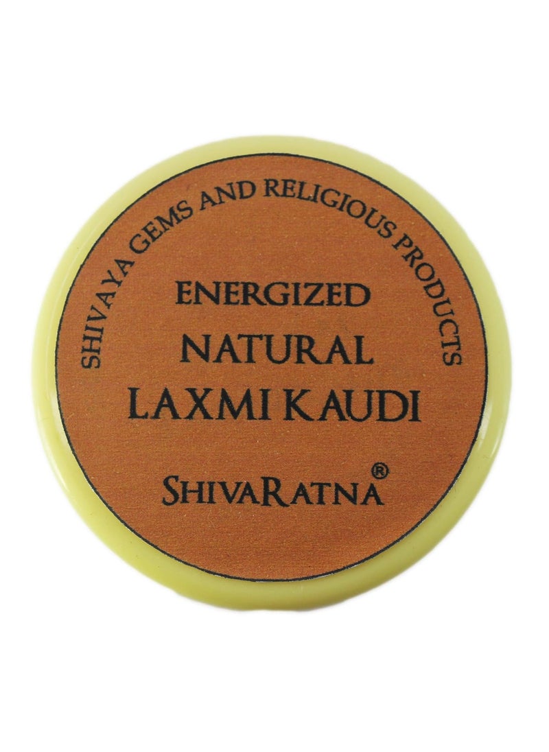 ShivaRatna SHIVARATNA Natural Laxmi Kaudi for Wealth Attraction 21 Pieces  - Image 3