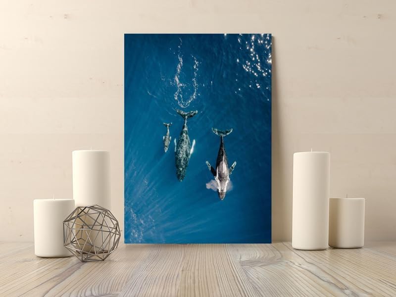 ARS Framed Canvas Abstract Painting Print of  Whales in Maui Wall Art, 1 Pcs, Wall Decor for Office Living Room Bedroom Gifting, Size-45x70cm - Image 3