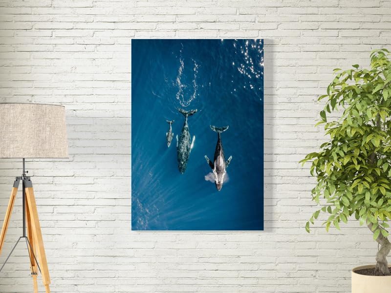 ARS Framed Canvas Abstract Painting Print of  Whales in Maui Wall Art, 1 Pcs, Wall Decor for Office Living Room Bedroom Gifting, Size-45x70cm - Image 2