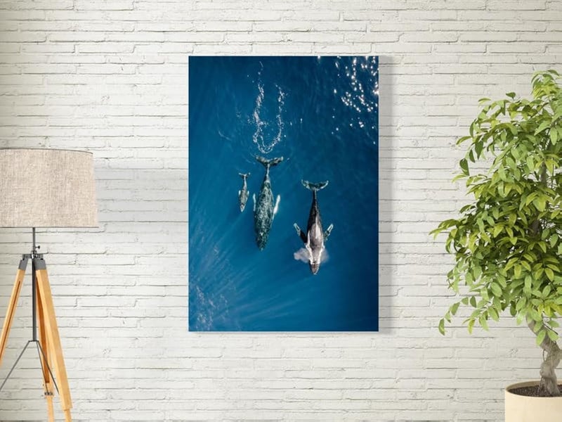 ARS Framed Canvas Abstract Painting Print of  Whales in Maui Wall Art, 1 Pcs, Wall Decor for Office Living Room Bedroom Gifting, Size-45x70cm - Image 1