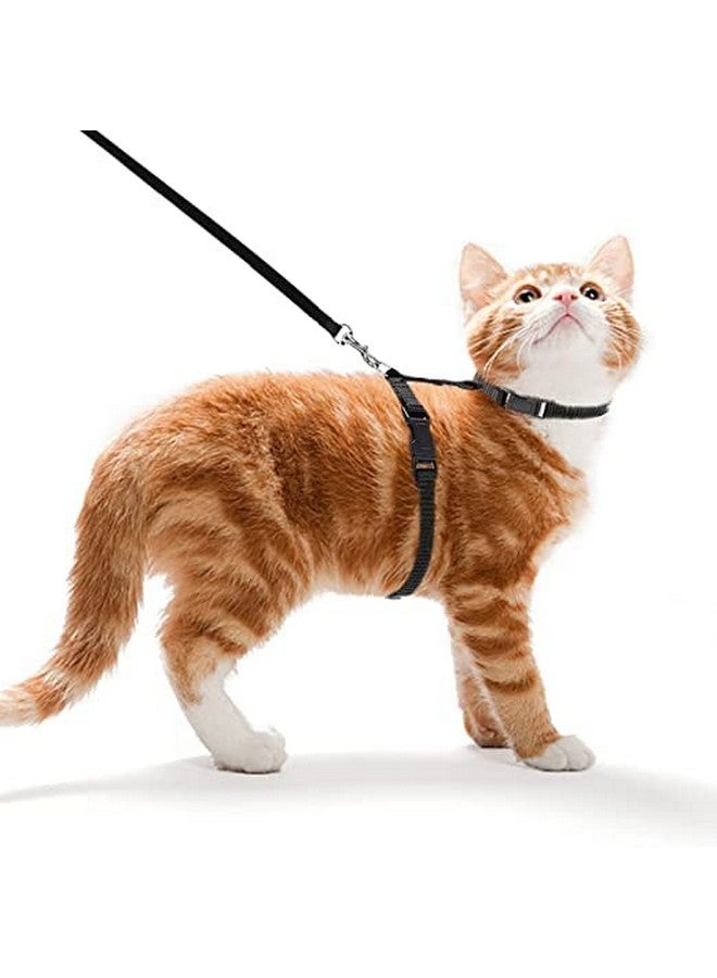طوق من النايلون للقطط مع حزام قابل للتعديل للأرانب والقطط والحيوانات الأليفة الصغيرة - لون أسود - Image 1