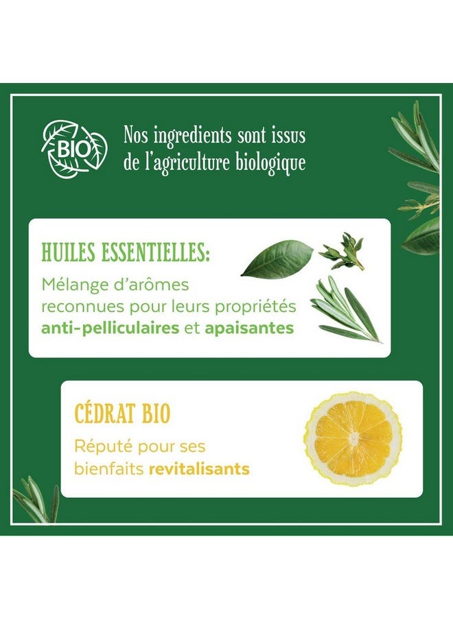 LE PETIT MARSEILLAIS Shampooing Antipelliculaire Infusion Huiles Essentielles Et Cédrat Bio Antidandruff Shampoo Organic Essential Oils And Citrus Infusion  - Image 4