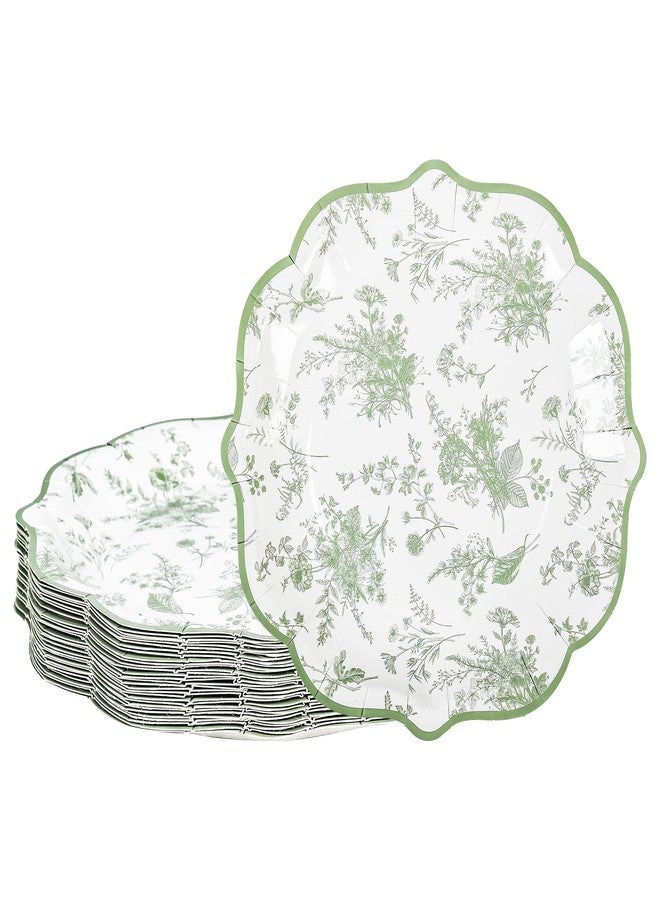 Elyxio 48 Pcs Sage Green Floral Scalloped Disposable Party Paper Plates 9" - Image 1