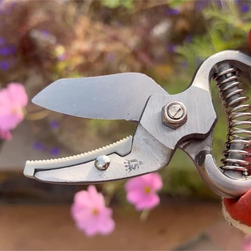 Spear  Jackson Spear & Jackson CUTTINGSET8 Traditional Bypass & Anvil Pruner/Secateur Set - Image 5
