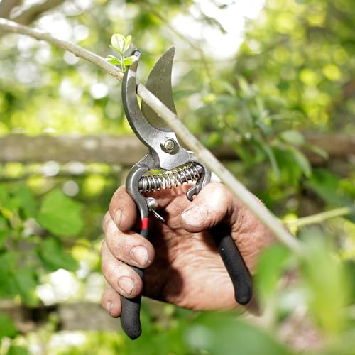 Spear  Jackson Spear & Jackson CUTTINGSET8 Traditional Bypass & Anvil Pruner/Secateur Set - Image 4