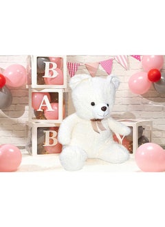 50cm White Teddy Bear Toy for Girls Friend and Couples Anniversary Valentine and Birthday Gift - pzsku/Z055A270453CB8F8E32F8Z/45/_/1738665512/52df81f4-50cb-48a9-b9b4-08fc0060aaaa