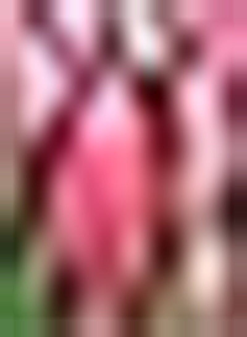 GGOOT 10pcs Roze Tulpenbollen Ingemaakte Bloembollen Charmante Geur Tuin Balkon Kantoor Decoraties Speelse Tulpen Klassieke Kleur - Image 1