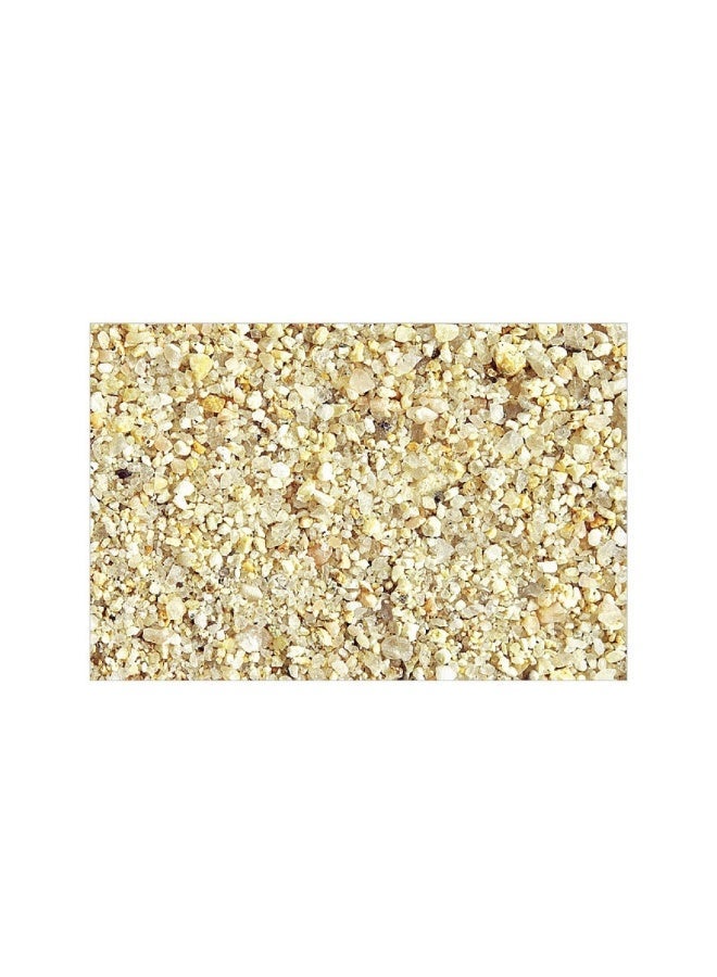 ADA La Plata Sand 8 kg Natural Bright White Cosmetic Sand for Aquascaping and Planted Layouts - Image 2