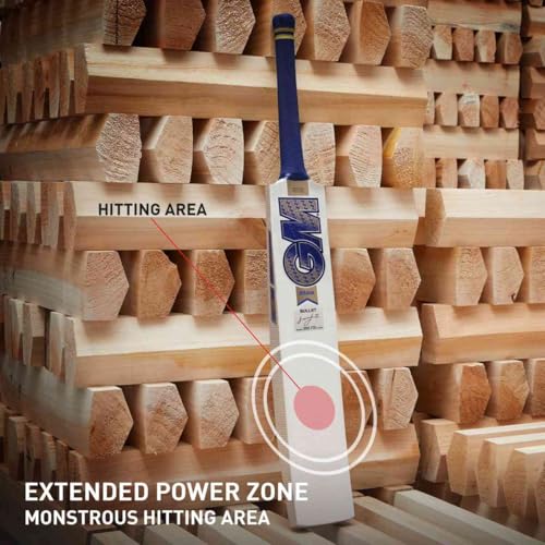 GM Brava Bullet English Willow Cricket Bat for Mens, Size - 6 - Image 2