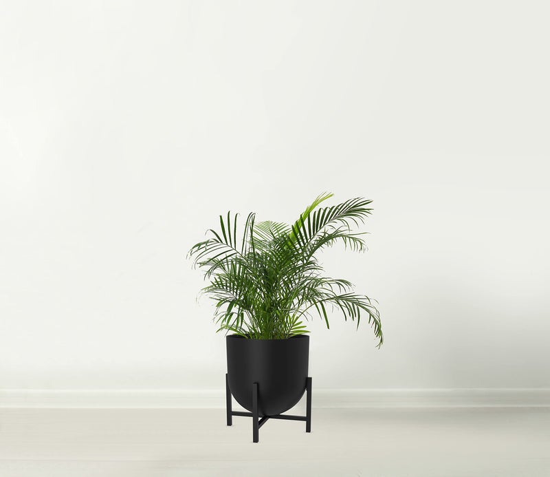 Olly & Rose Plant Pot with Plant Stand - Metal Plant Pots Indoor Planter 22cm Large Flower Pot (Black) - Image 2