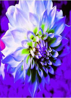 Extraordinary Flowers/Can be Planted All Year Round/Long Flowering Period/Dahlia Seeds/Perennial plants-90 PCS,d