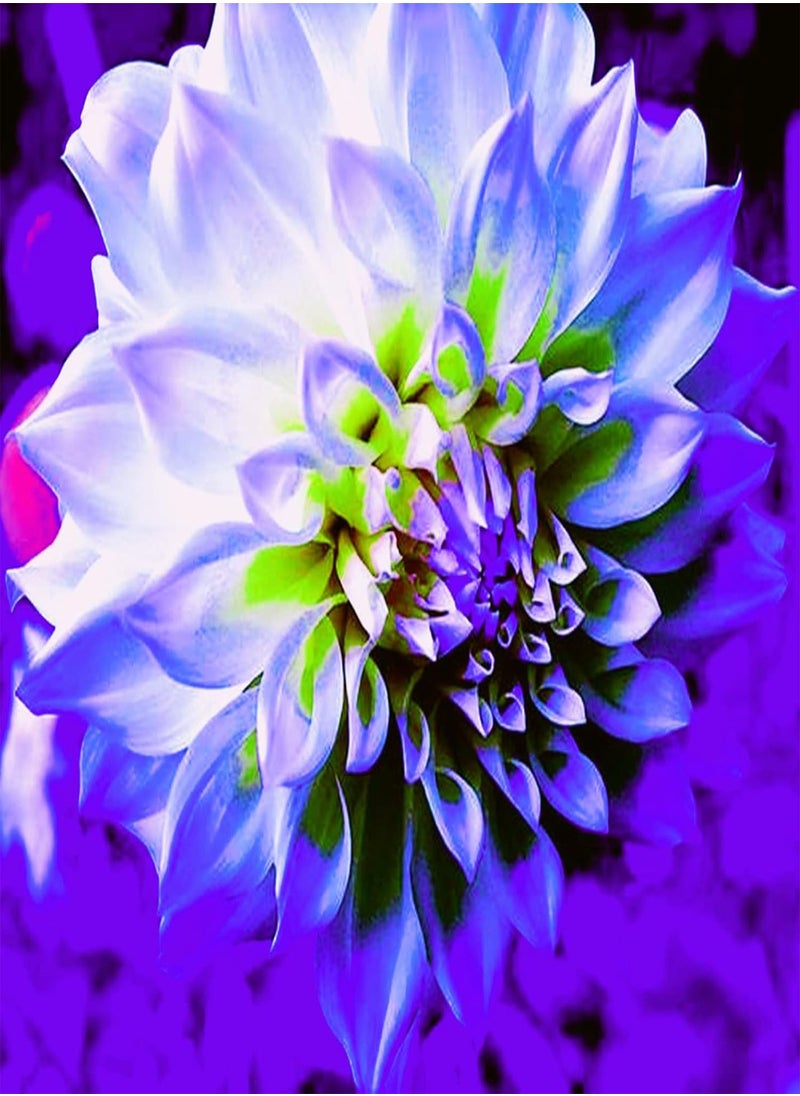 GGOOT - Extraordinary Flowers/Can be Planted All Year Round/Long Flowering Period/Dahlia Seeds/Perennial plants-90 PCS,d - Image 1