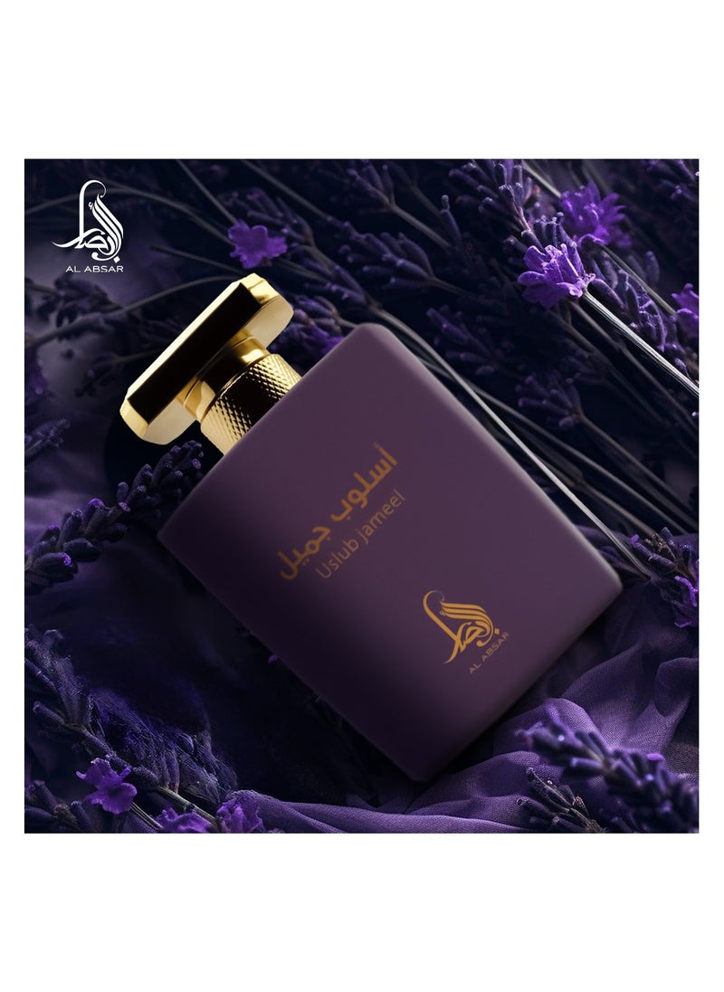 AL ABSAR USLUB JAMEEL 100ML  - EDP - For Him - pzsku/Z055F611372A492D91070Z/45/_/1739355373/50f34278-0445-4647-90ca-28b458b58b97