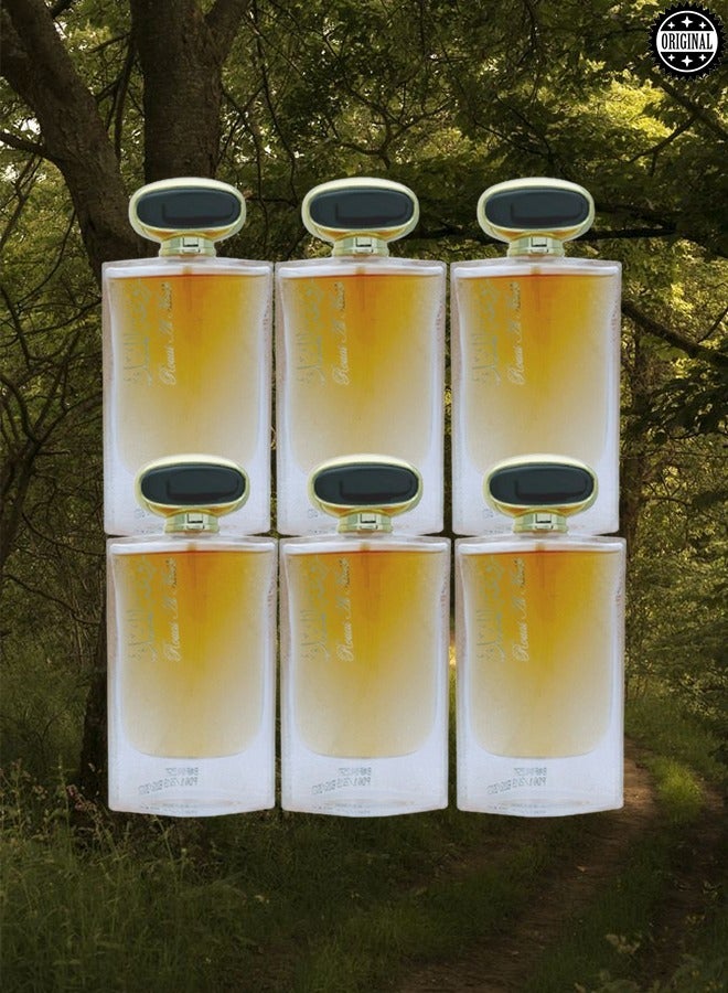 MUSK 6 Pieces Rawaat Al Musk Perfume 100ml EDP - Image 1