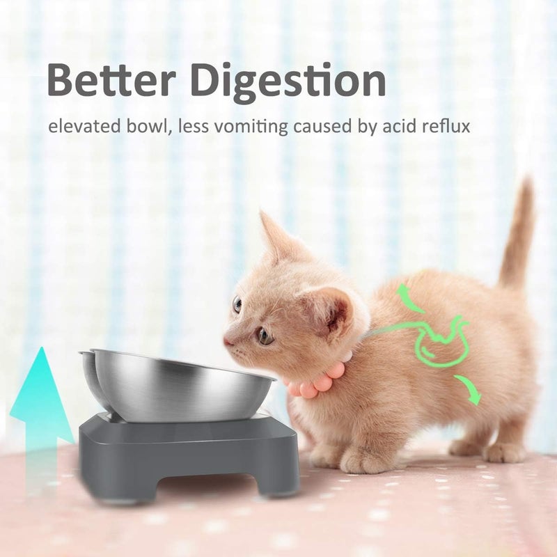 AYADA Stainless Steel Cat Food Bowl, 15-Angle, Ergonomic Design Reduces Vomiting - Image 2