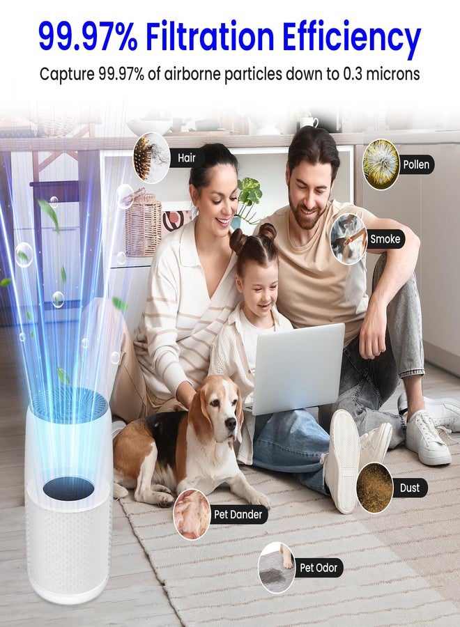 Future Way 2-Pack Core Mini Air Purifier Replacement Filter Compatible with LEVOIT Core Mini Air Purifier, 3-in-1 True HEPA Filter, High-Efficiency Activated Carbon, Replace Core Mini-RF, White - Image 2