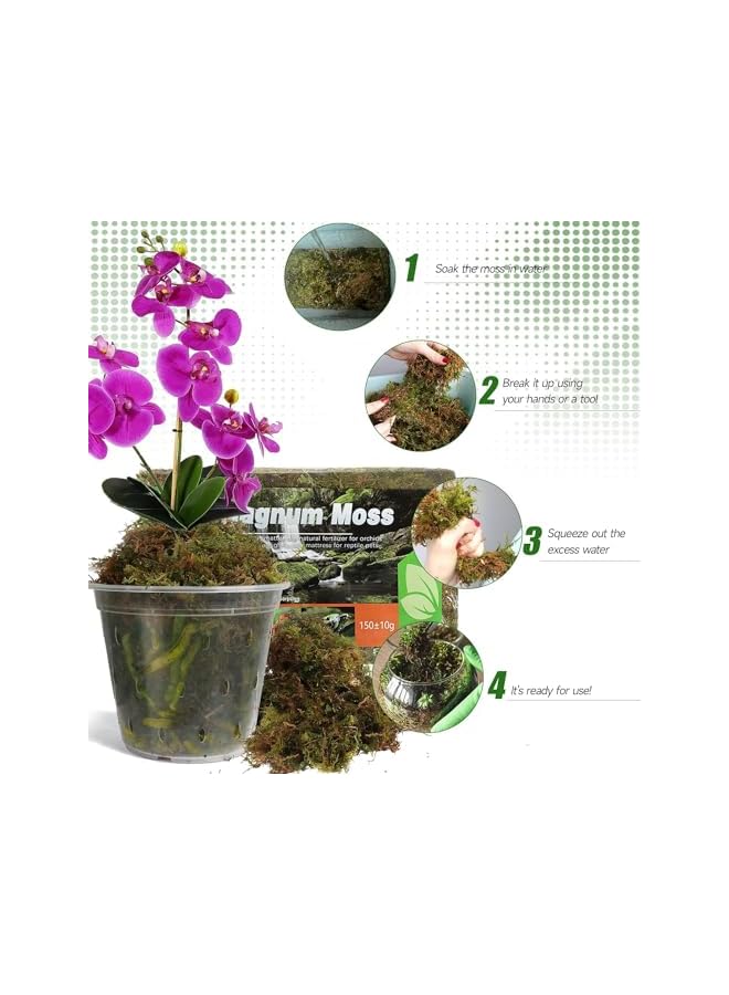 The Bros Dried Forest Moss for Plants, 300g Premium Sphagnum Moss Potting Mix, Potting Moss for Various Plants, Including Orchids, Carnivorous Plants Succulents Garden Flowers and Reptiles (Pack of 2) - Image 4
