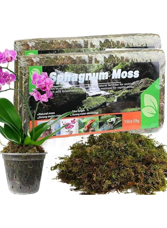 The Bros Dried Forest Moss for Plants, 300g Premium Sphagnum Moss Potting Mix, Potting Moss for Various Plants, Including Orchids, Carnivorous Plants Succulents Garden Flowers and Reptiles (Pack of 2) - Image 1