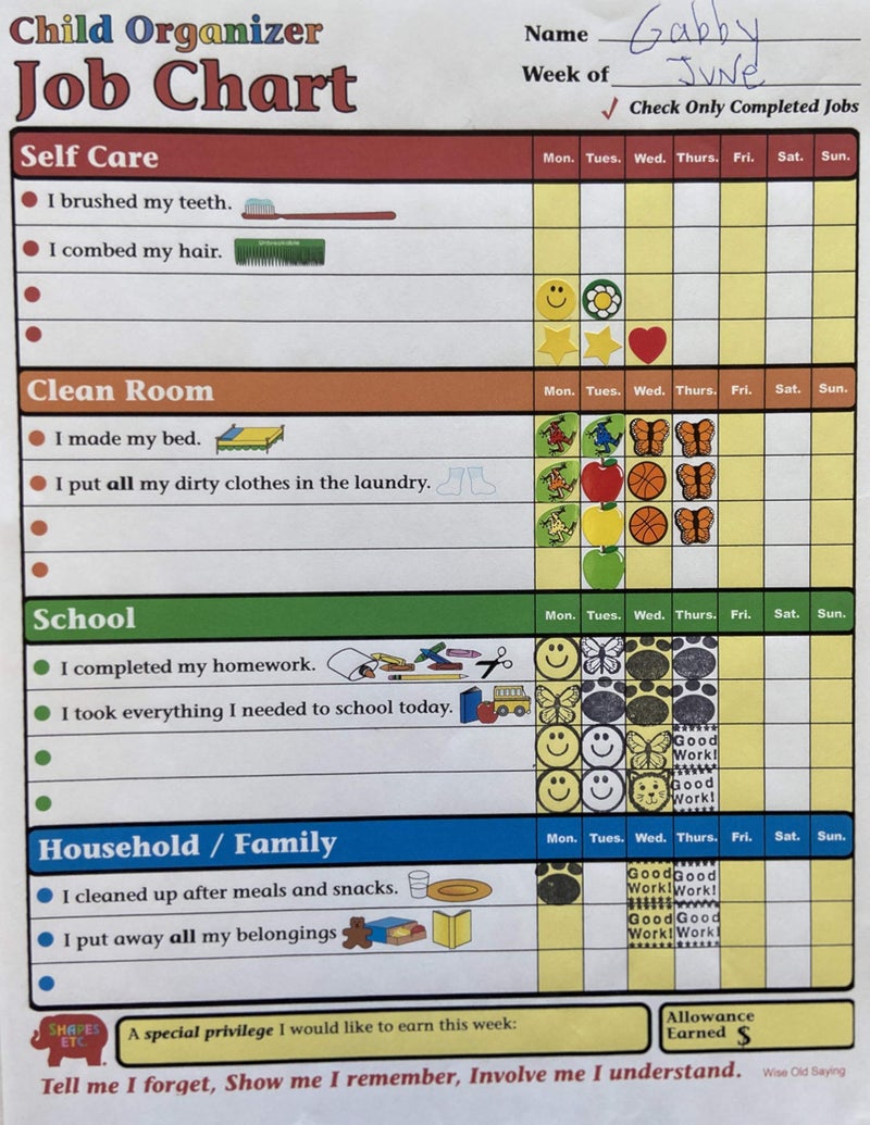 SHAPES ETC. 50 Sheets Child Organizer Job Chart 8.5inx11in Kids Reward Chart Chore Charts Teach Responsibility Positive Reinforcement Good Habits Daily Task Tracker Homeschool Parents USA Made - Image 2