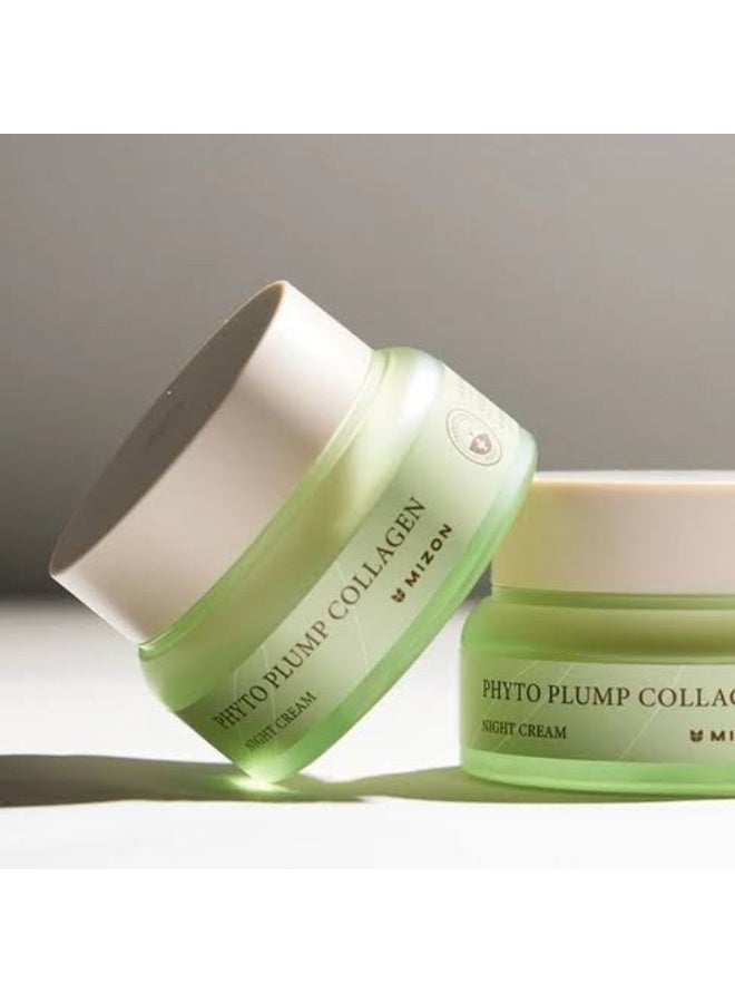 Mizon Phyto Plump Collagen Night Cream 50ml - Image 4