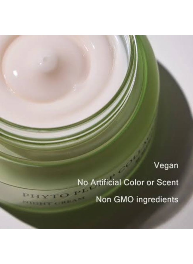 Mizon Phyto Plump Collagen Night Cream 50ml - Image 3