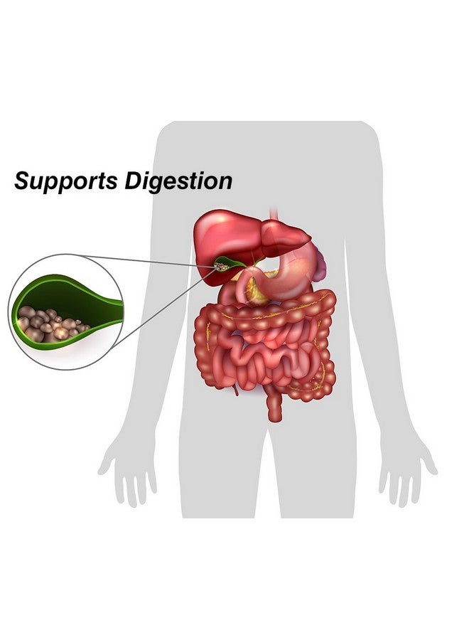 DrFormulas دكتور فورمولا 18 إنزيم هضمي لدعم إنزيمات المرارة والبنكرياس مع الأميلاز، البروتياز، الليباز، اللاكتاز، السليلوز، البروميلين 60 كبسولة - Image 4