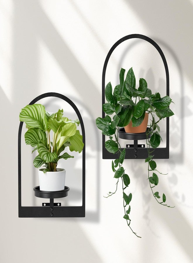 storenization Wall Planters for Indoor Plants Set of 2, Hanging Planter for Indoor Plant Stand Plants Wall Decor - Premium Metal Hanging Plant Holder (Semi-Round) - Image 1
