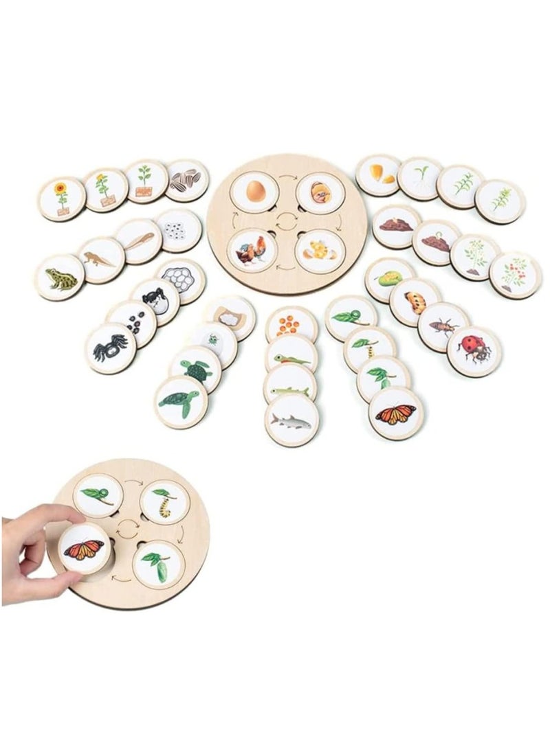 KASTWAVE Life Cycle Kit, Realistic Figurine Toys, Kids Animal Match Set with Frog, Ladybug,  More - Includes 10-Piece Animals, Montessori DIY Educational Toys, School Teaching（Self-Adhesive Stickers） - Image 1