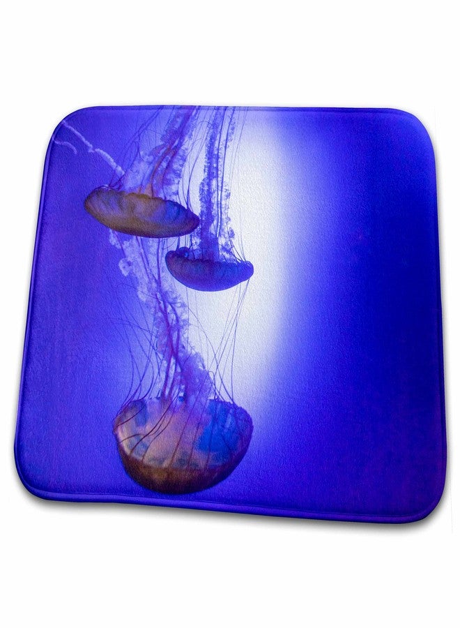 3DROSE Dish Drying Mat - Jellyfish in aquarium exhibit. Marine Life - Image 1