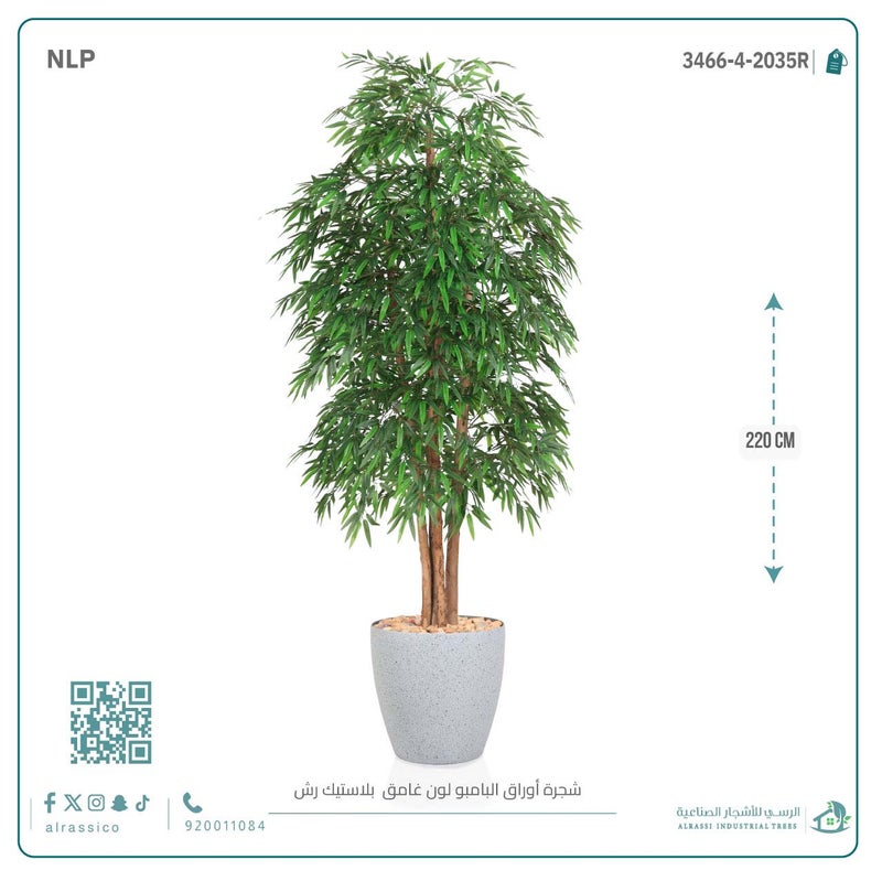 Alrassi Dark Bamboo Tree in Cylindrical Plastic Pot 220 cm - Image 2
