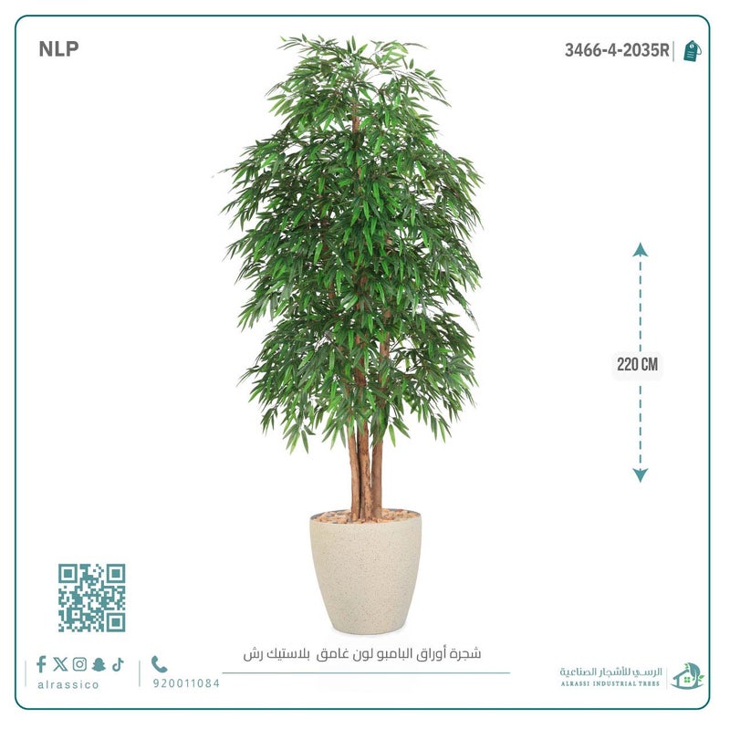 Alrassi Dark Bamboo Tree in Cylindrical Plastic Pot 220 cm - Image 3