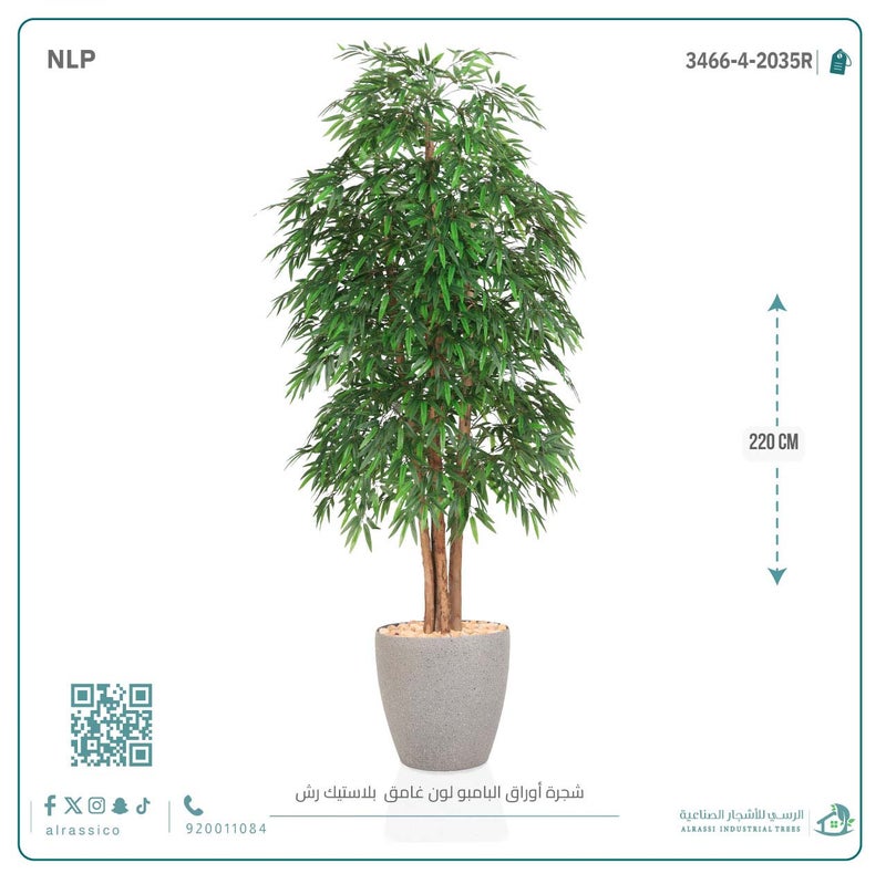 Alrassi Dark Bamboo Tree in Cylindrical Plastic Pot 220 cm - Image 4