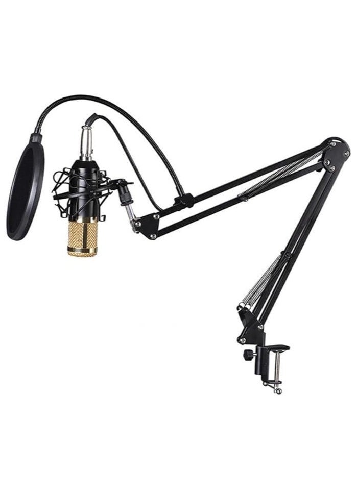 ELTRAZONE Elite V9 Sound Card and BM800 Pro Microphone Bundle – Professional Audio Interface Kit for Live Streaming, Podcasting, Recording, and Advanced Broadcasting Setup  - Image 3