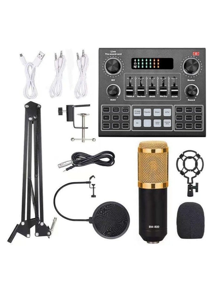 ELTRAZONE Elite V9 Sound Card and BM800 Pro Microphone Bundle – Professional Audio Interface Kit for Live Streaming, Podcasting, Recording, and Advanced Broadcasting Setup  - Image 1