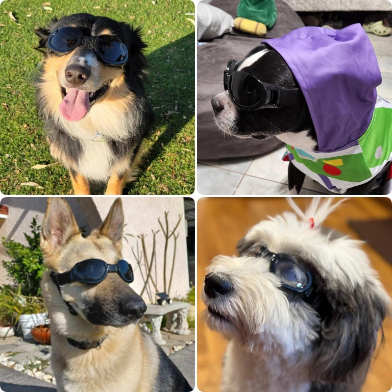 PETLESO Dog Goggles Medium Breeds, Clear UV Protection Dog Sunglasses with Black Replaceable Lenses, Adjustable Doggy Glasses for Outdoor Activities Hiking/Camping Windproof Pet Eyewear - Image 2