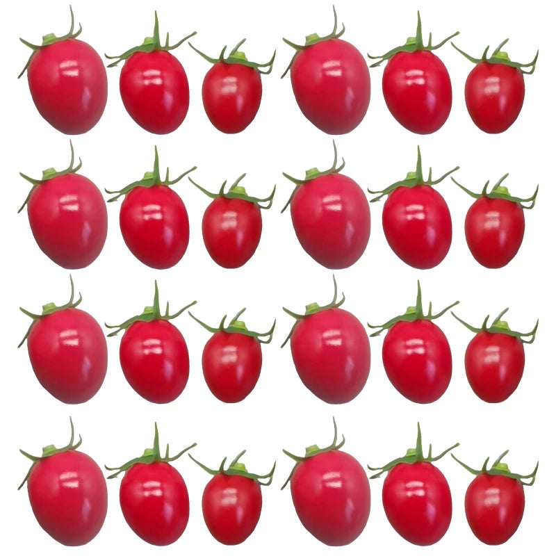 Logofun 24pcs Artificial Foam Tomatoes Red For Home Kitchen Decor Photography Props Party Display - Image 2