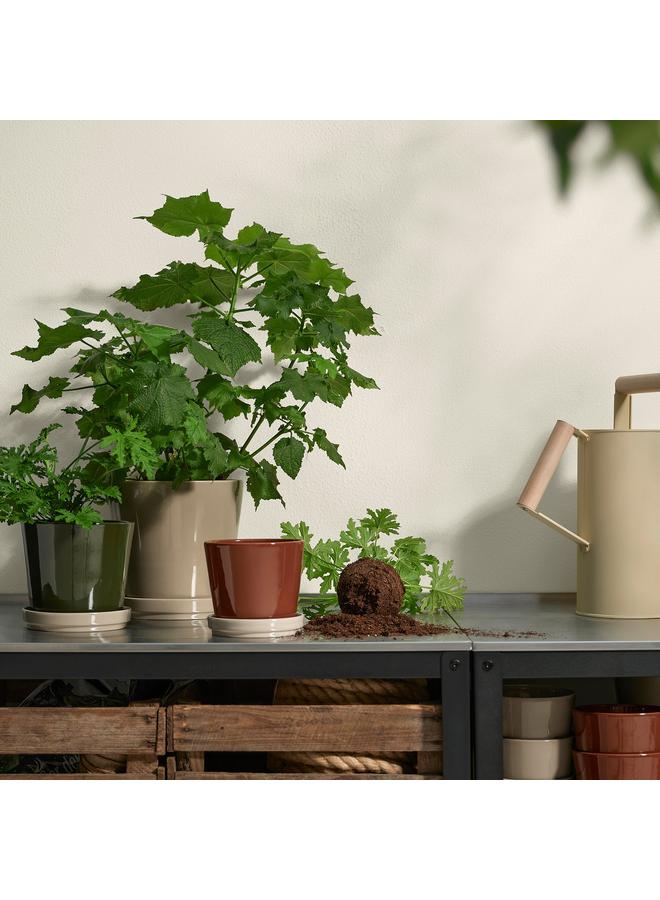 Green Tiger Plant Pot With Saucer, In/Outdoor/Red/Brown Light Beige, 12 Cm - Image 2